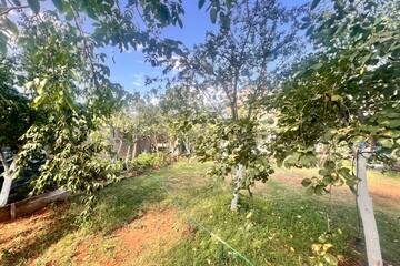 Ведение садоводства, 4,3 сот.